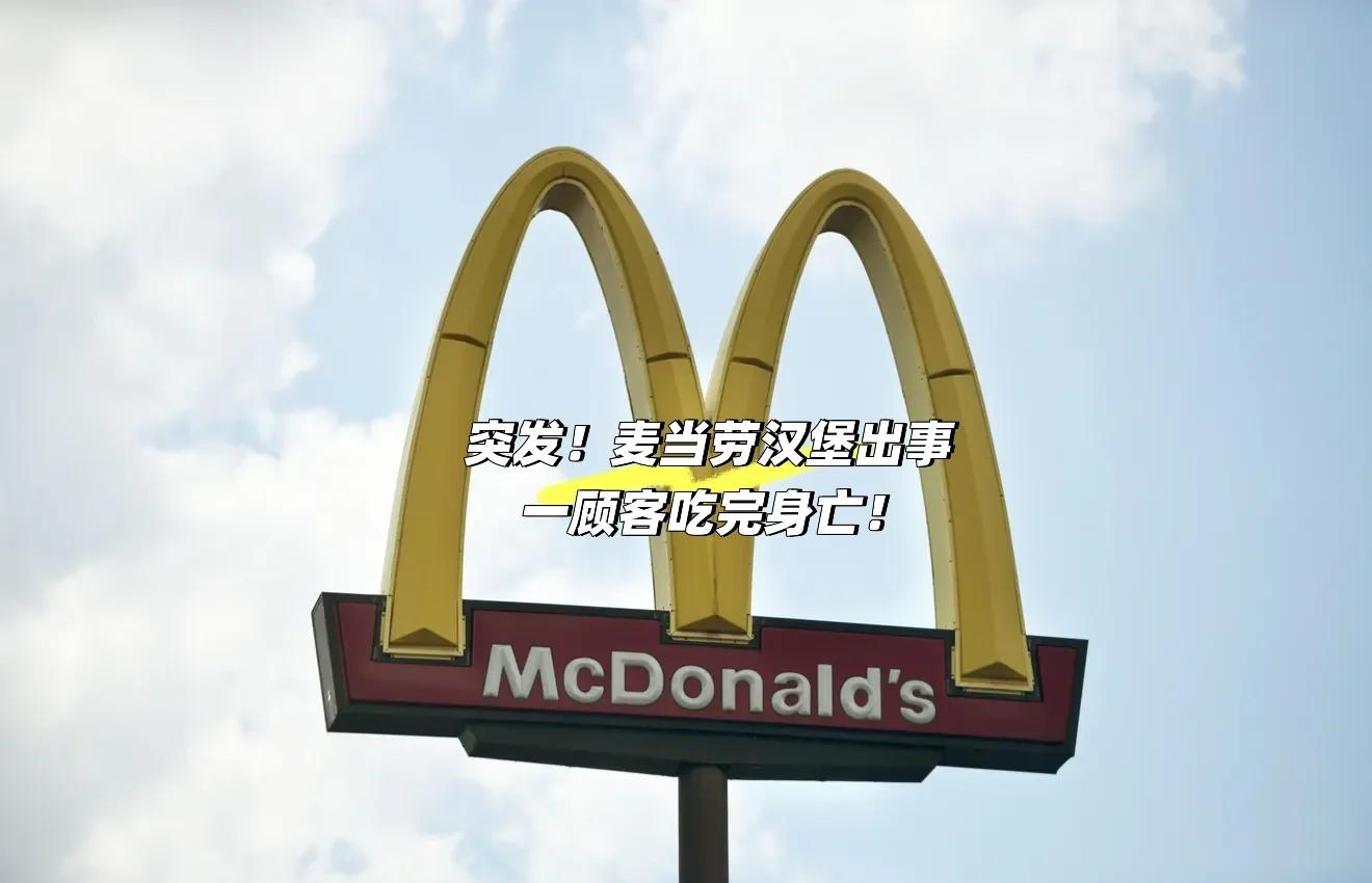 汉堡遭遇主场失利，状态起伏不定的简单介绍