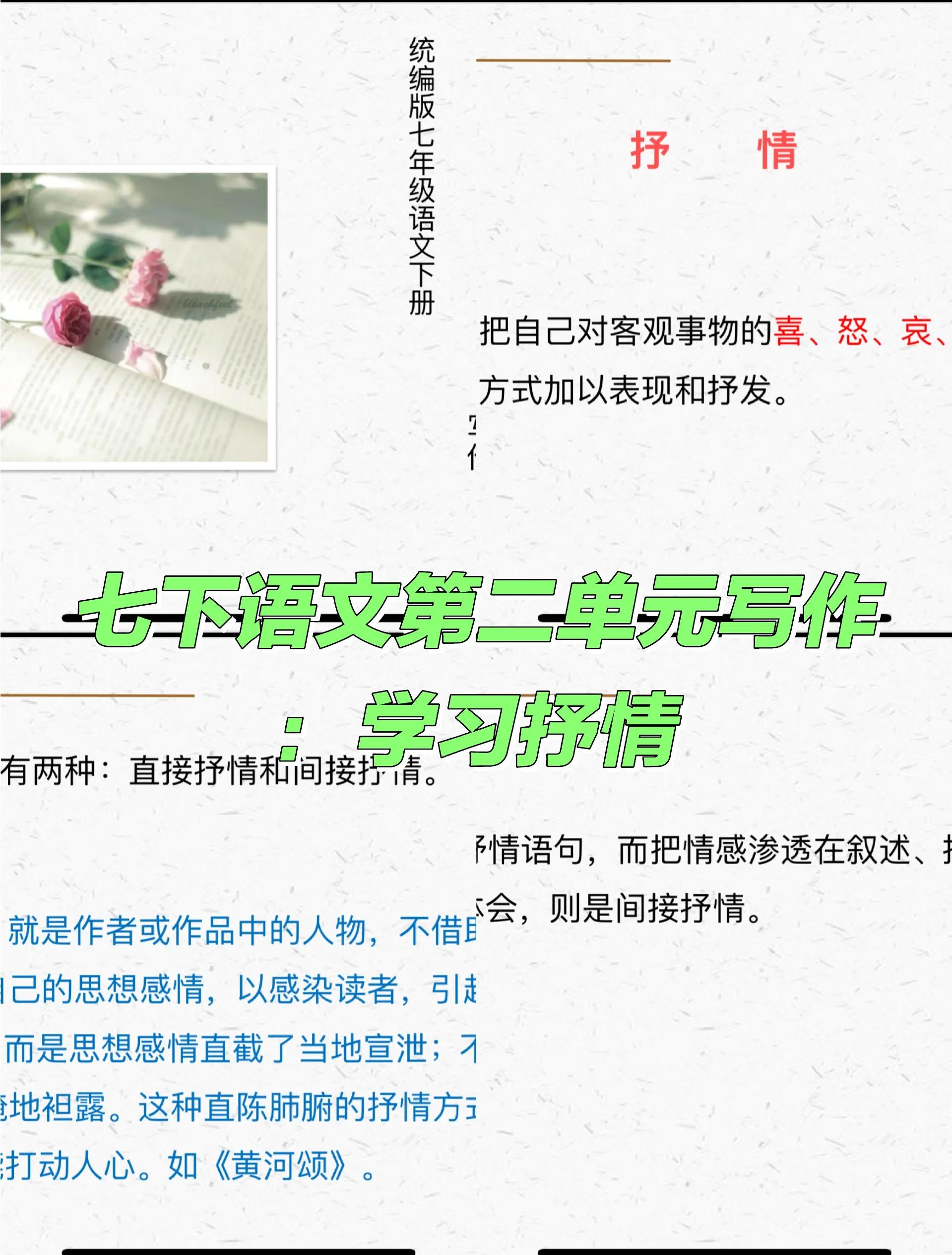 真情流露：球场上的情感故事
