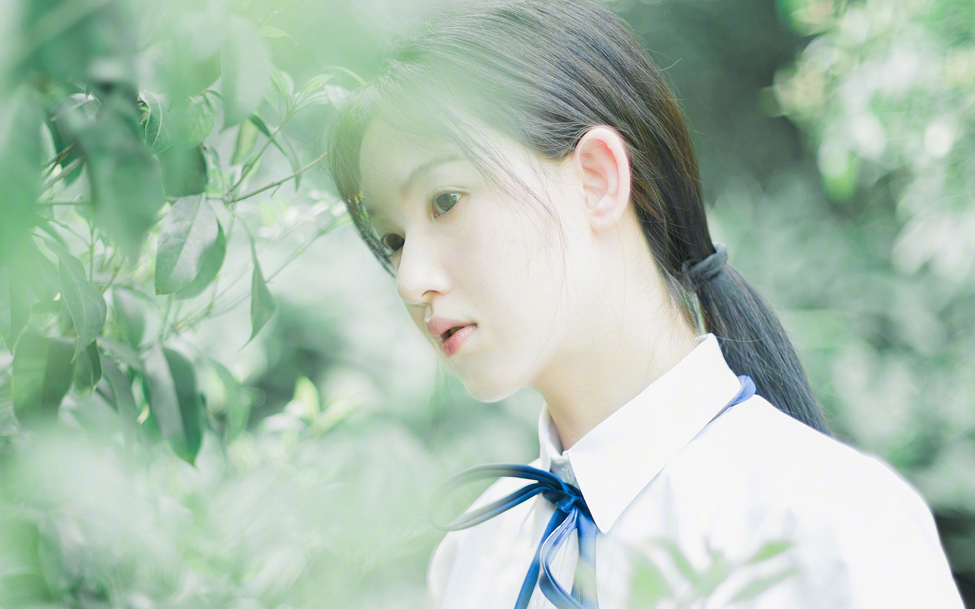 绿茵之上的篮球烽火，当欧冠精神照亮NBA半决赛战场