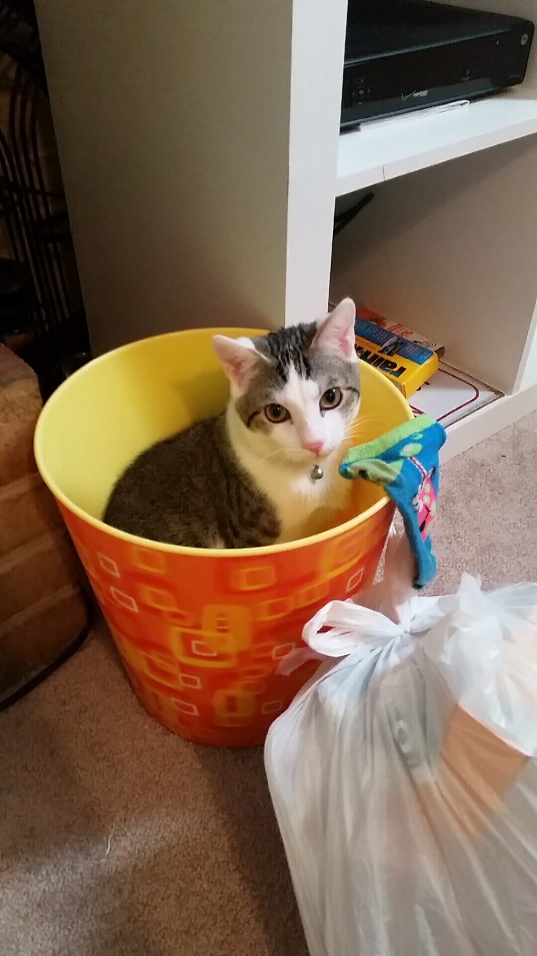 魔术横扫独行侠，霍姆格伦如何从希望之星蜕变为关键先生？