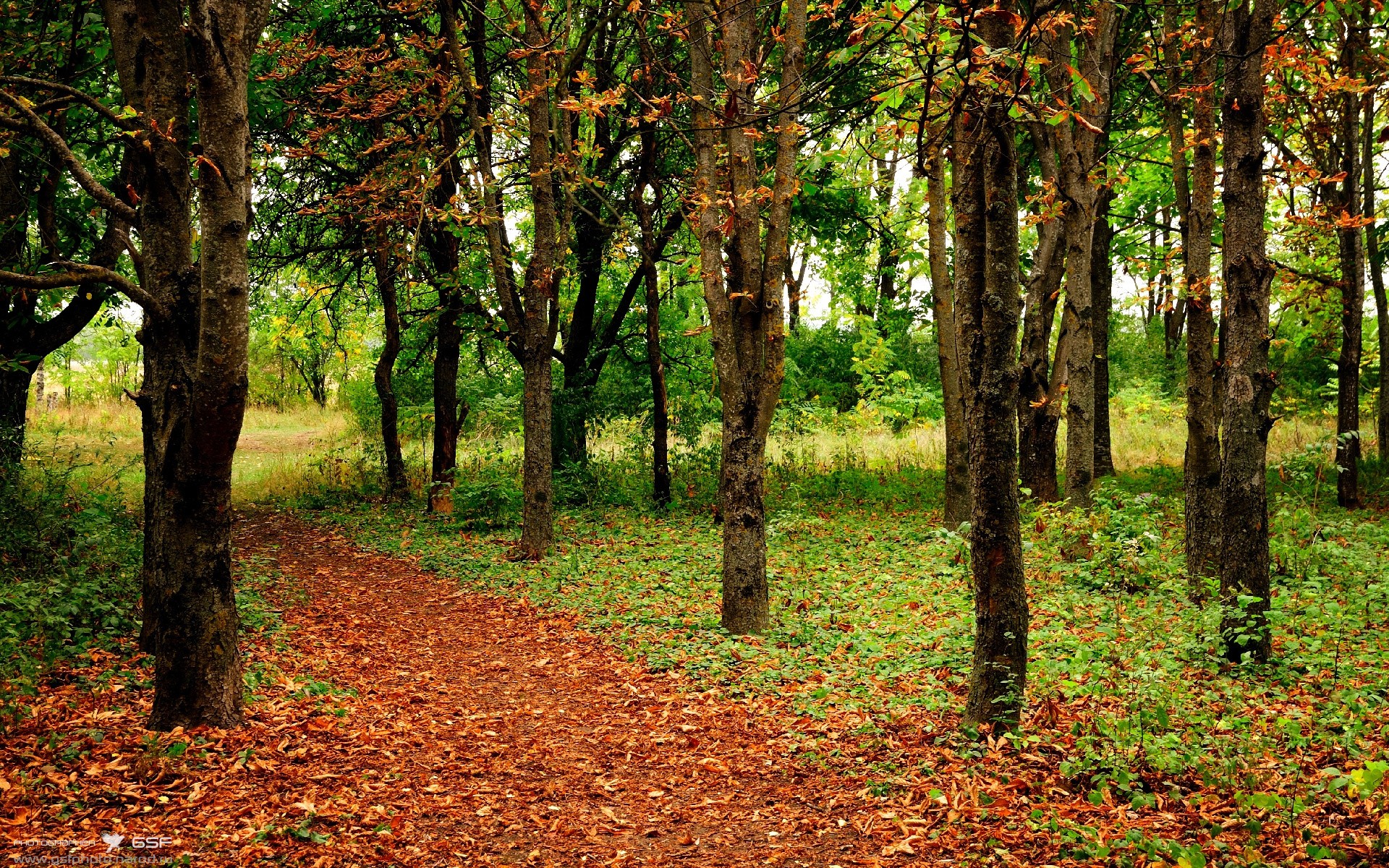 铁闸德里赫特统治攻防,塞维利亚友谊赛力克南美劲旅秘鲁